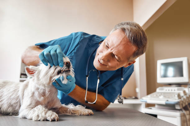 Best Emergency Treatment for Dental Infections or Abscesses in Nassau Bay, TX